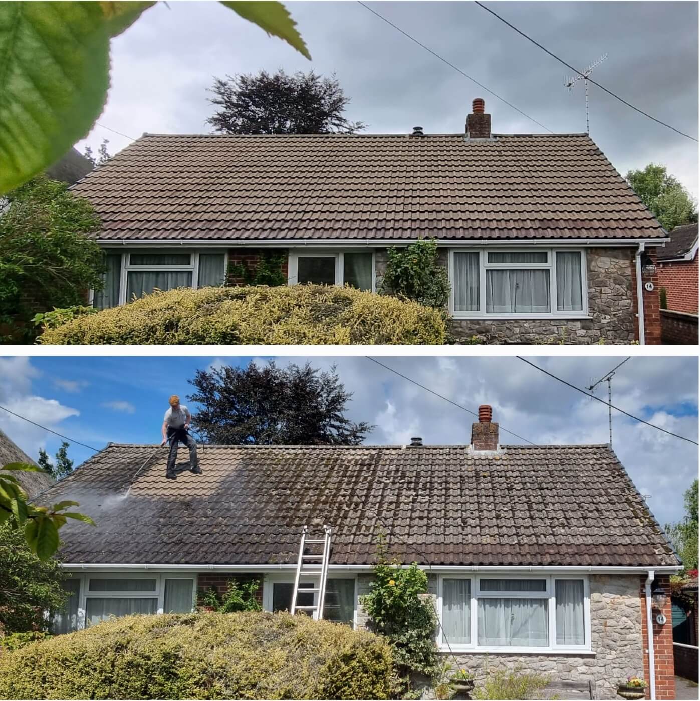 Roof Cleaning