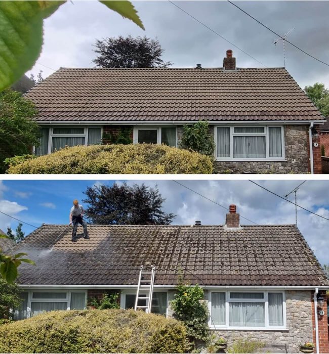 Roof Cleaning