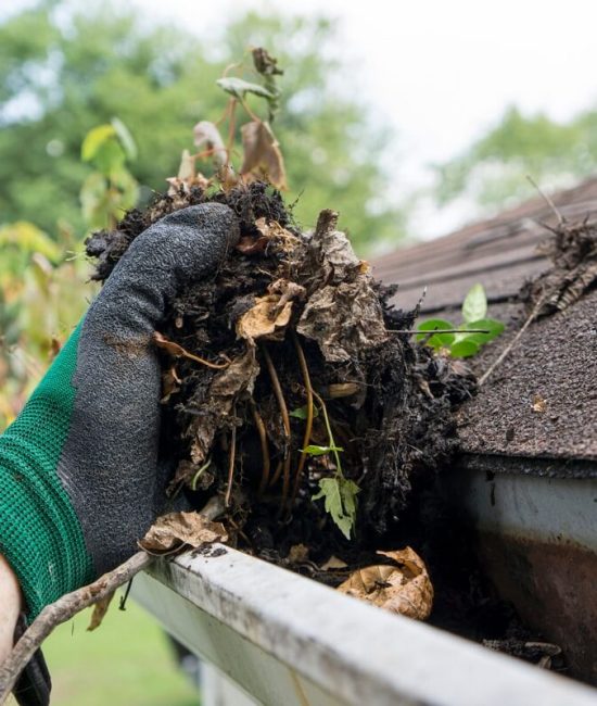 Gutter Cleaning