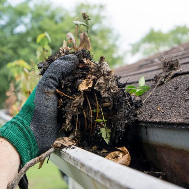 Gutter Cleaning