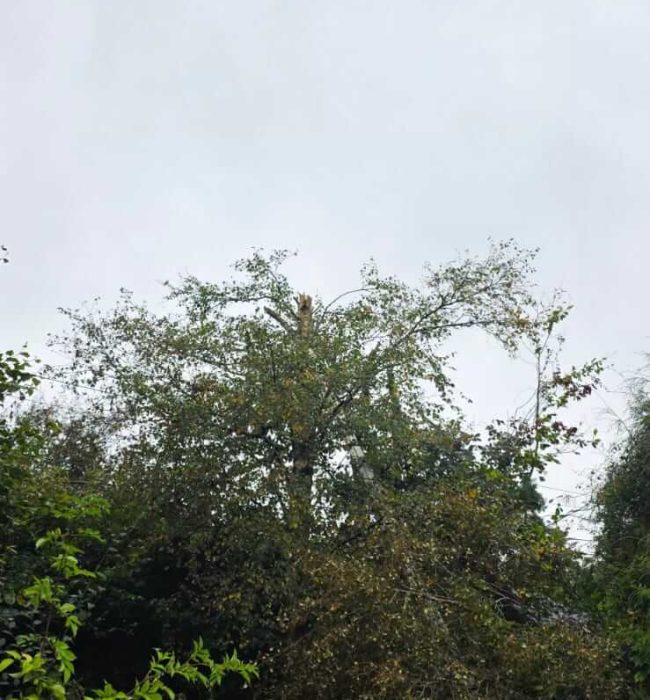IMG-20250926-WA0004